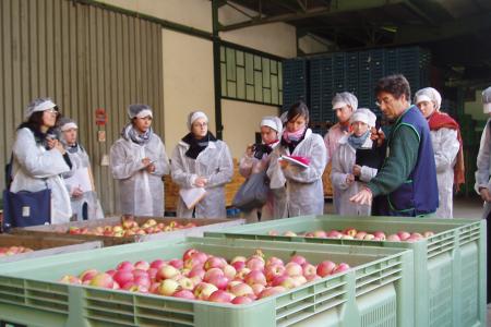 Etudiants en stage dans une entreprise agroalimentaire