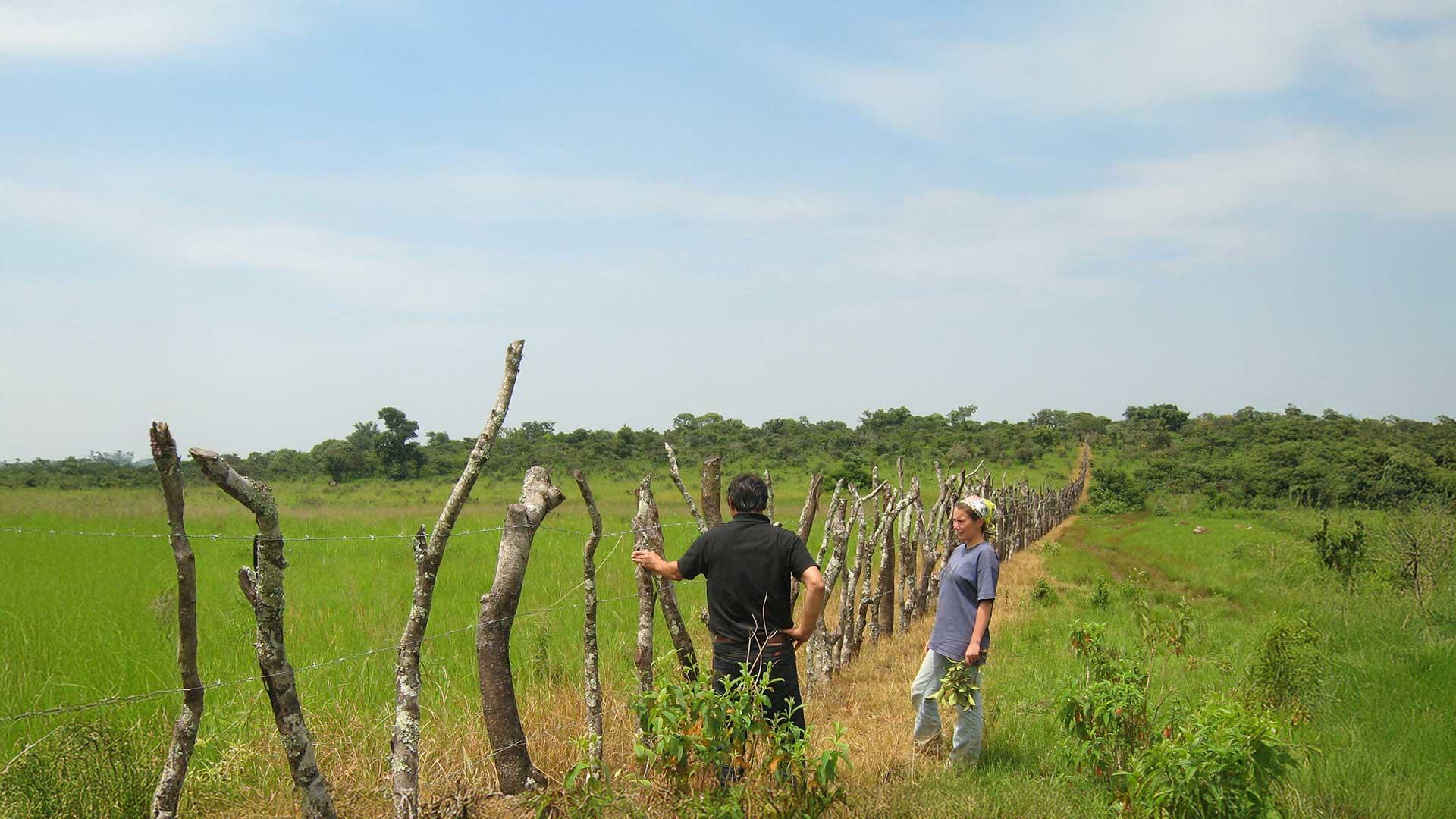 Comprendre une agriculture familiale