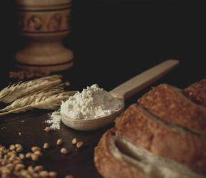 Syalinnov - Du blé au pain
