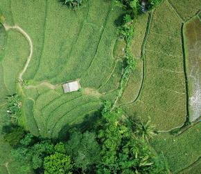 Gestion de la biodiversité