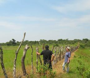 Comprendre une agriculture familiale