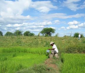 Agro-écosystèmes, intensification écologique et gestion des ressources naturelles 