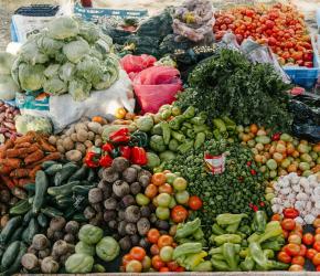 Analyse de la gouvernance des systèmes alimentaires 