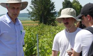 Cours d'ampélographie par le professeur Thierry Lacombe à des élèves ingénieurs option Viticulture-œnologie et du Master Vigne et Vin